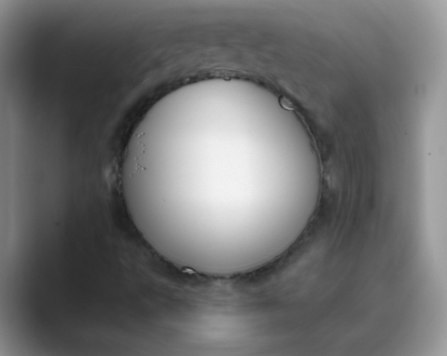 X0000089741495200707051747