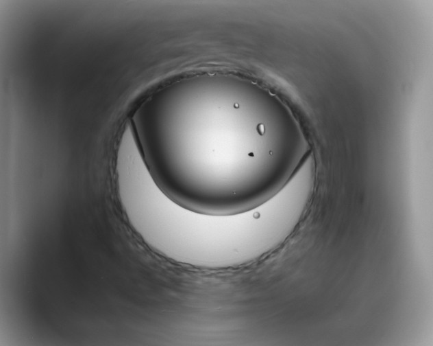 X0000089741496200707051747