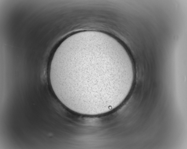 X0000089741498200707051747