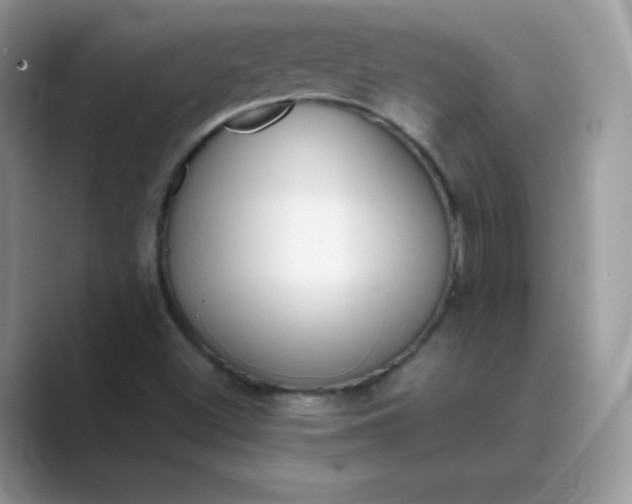 X0000089741500200707051747