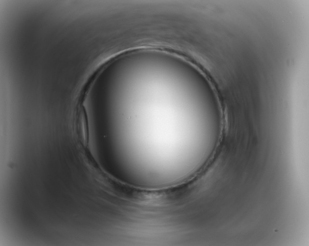 X0000089741501200707051747