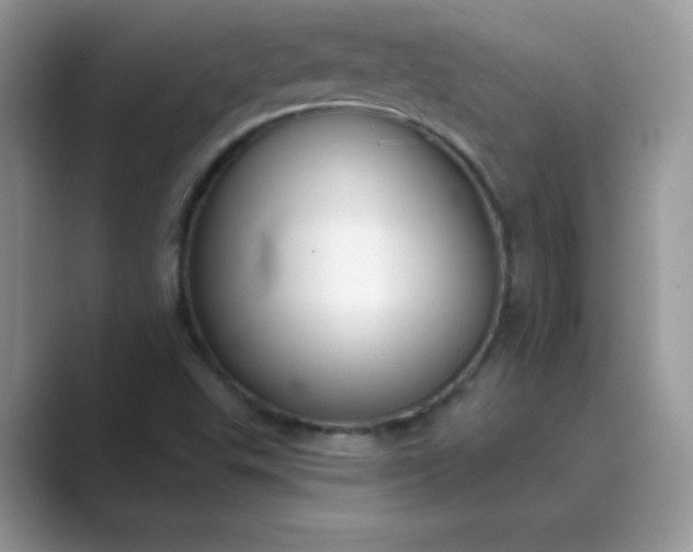 X0000089741503200707051747