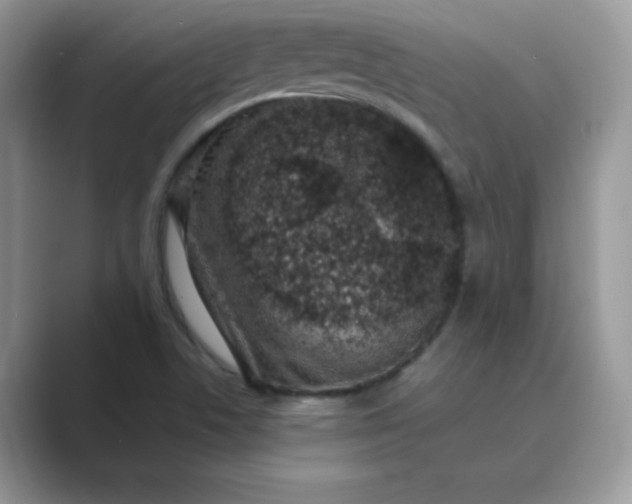 X0000089741506200707051747