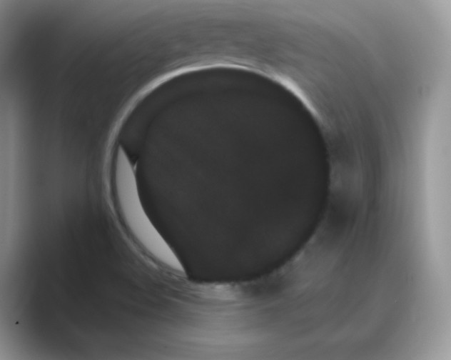 X0000089741508200707051747