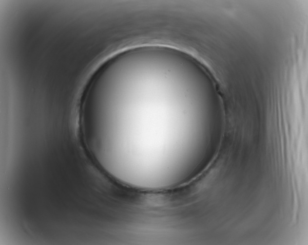 X0000089741511200707051747