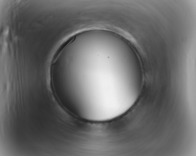 X0000089741512200707051747