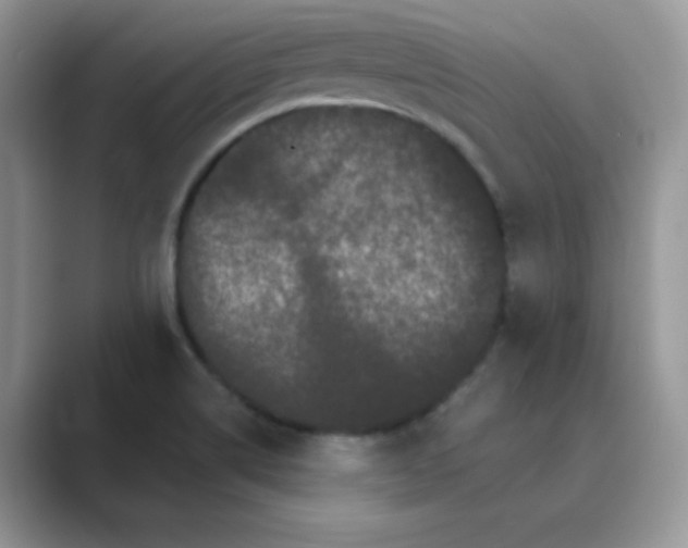 X0000089741514200707051747