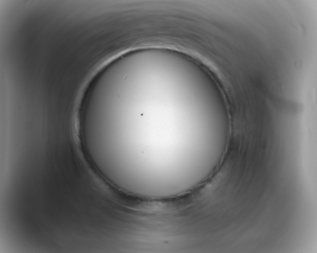 X0000089741517200707051747