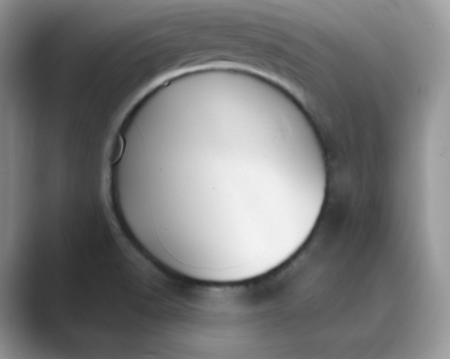 X0000089741518200707051747