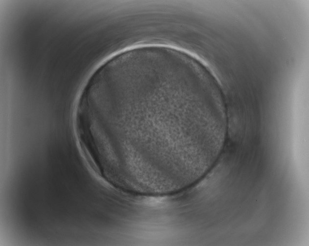 X0000089741519200707051747