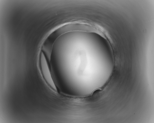 X0000089741520200707051747