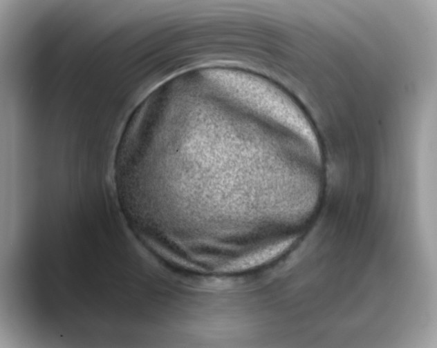 X0000089741521200707051747