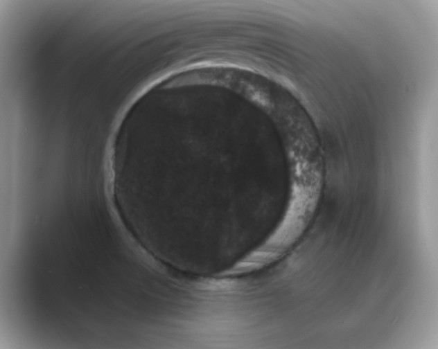 X0000089741522200707051747