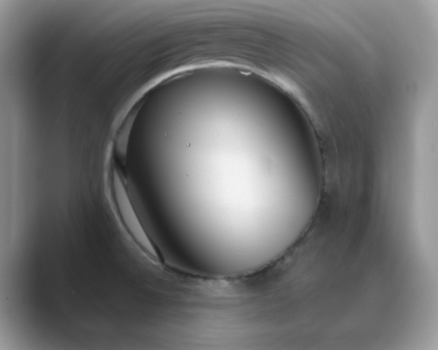 X0000089741524200707051747