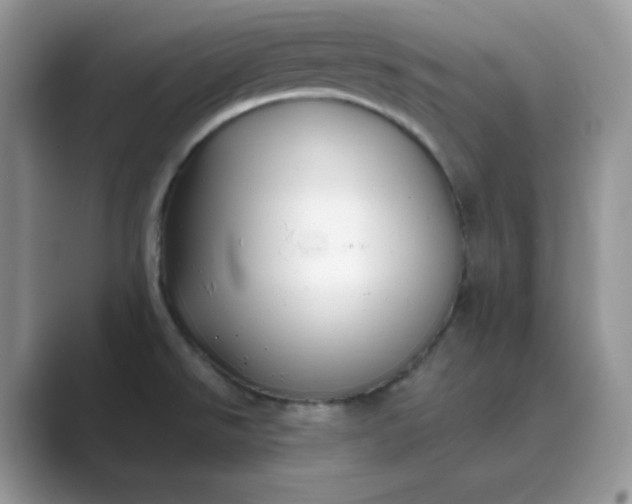 X0000089741526200707051748