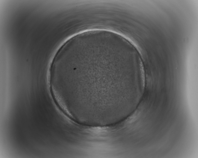 X0000089741527200707051748