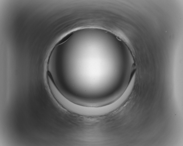 X0000089741528200707051748