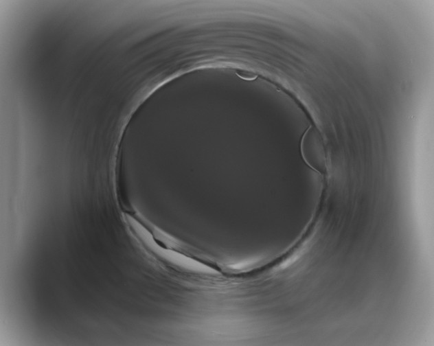 X0000089741529200707051748