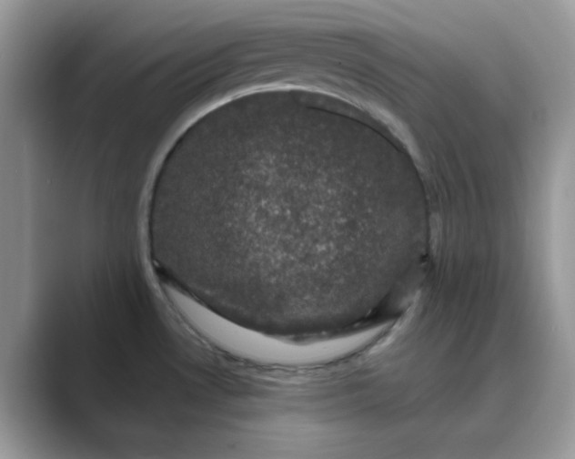 X0000089741530200707051748