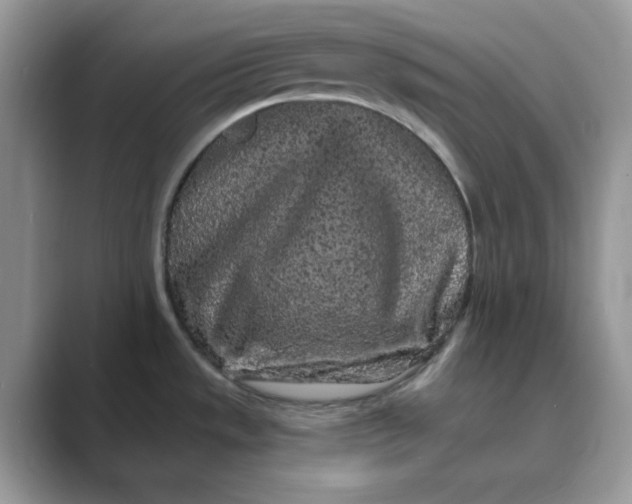 X0000089741533200707051748