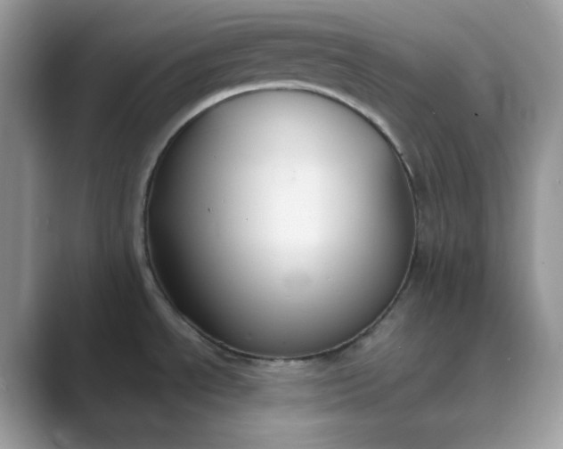 X0000089741534200707051748