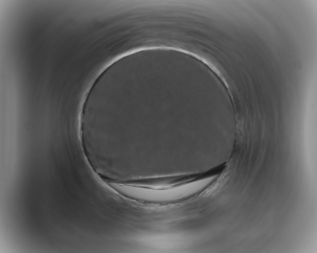 X0000089741535200707051748