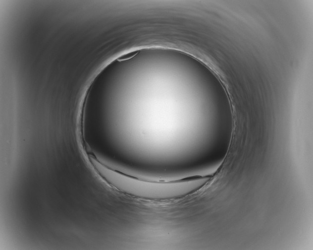 X0000089741536200707051748