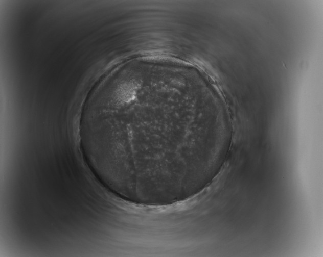 X0000089740002200707121516