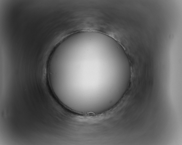 X0000089740005200707121516