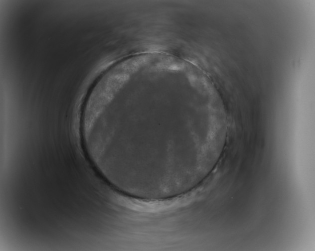 X0000089740006200707121516