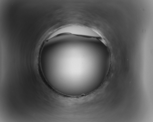 X0000089740007200707121516