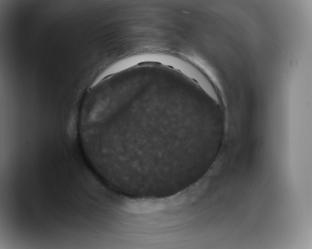 X0000089740009200707121516