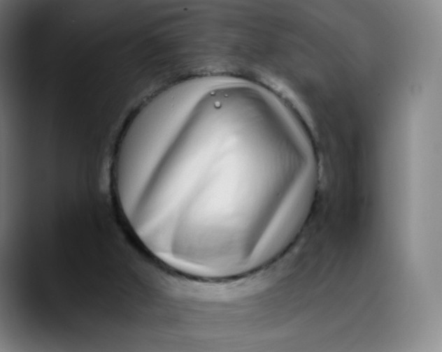 X0000089740010200707121516