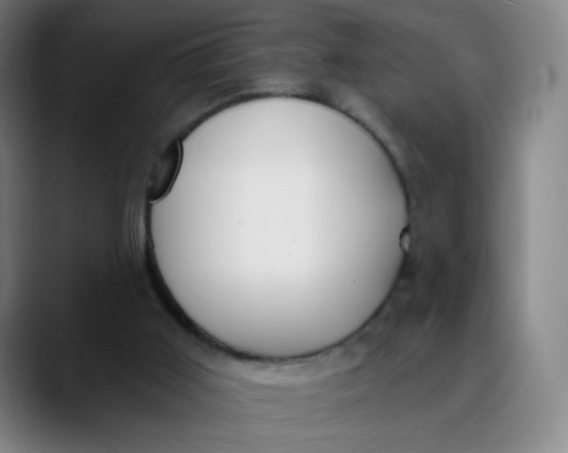 X0000089740011200707121516