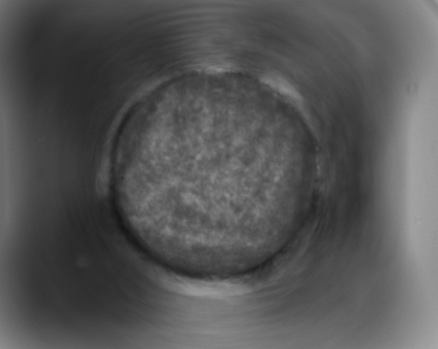 X0000089740012200707121515