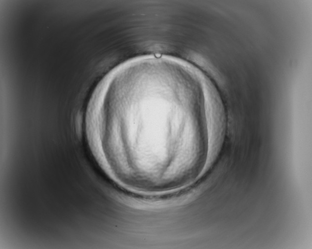 X0000089740014200707121515