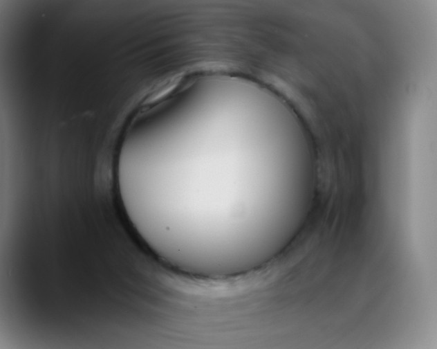 X0000089740015200707121515