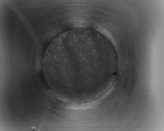 X0000089740017200707121515