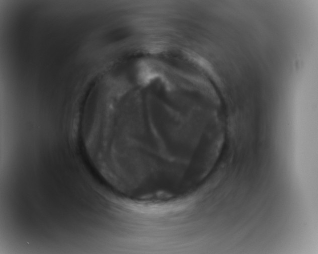 X0000089740018200707121515