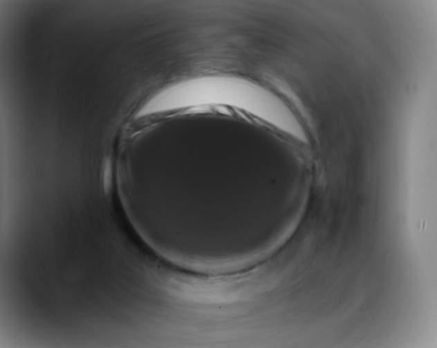 X0000089740019200707121515