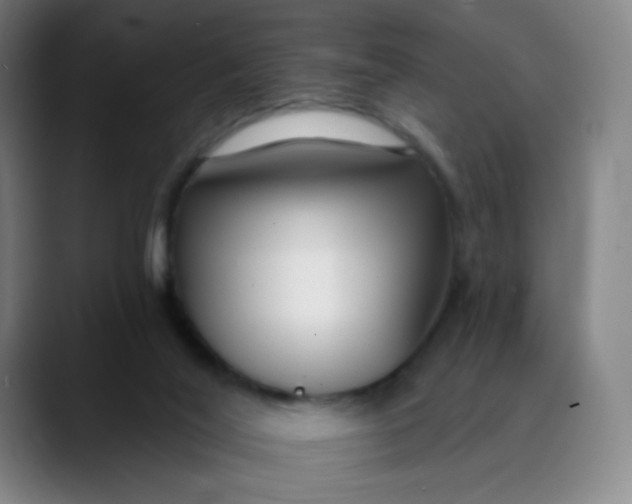 X0000089740020200707121515