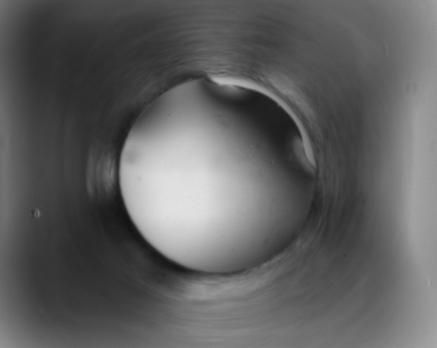 X0000089740021200707121515