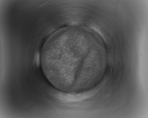 X0000089740022200707121515