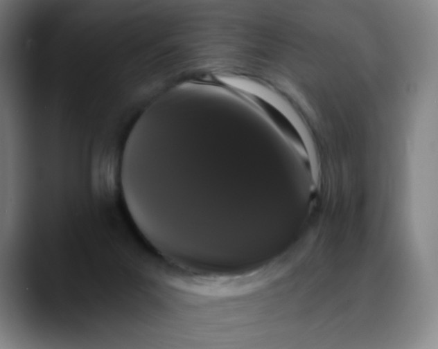 X0000089740023200707121515