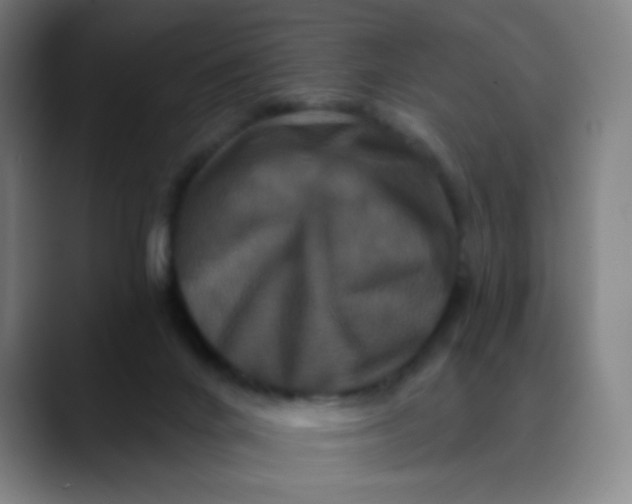 X0000089740024200707121515