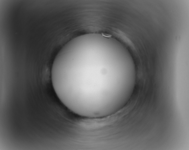 X0000089740025200707121515