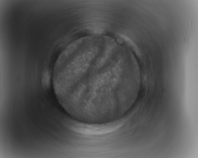 X0000089740026200707121515