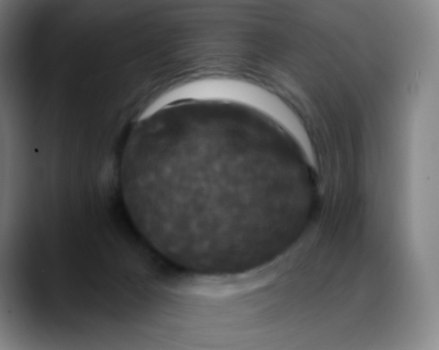 X0000089740029200707121515