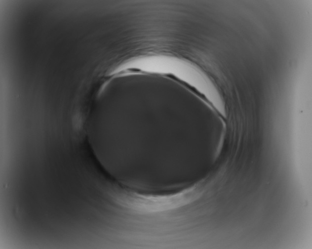 X0000089740031200707121515