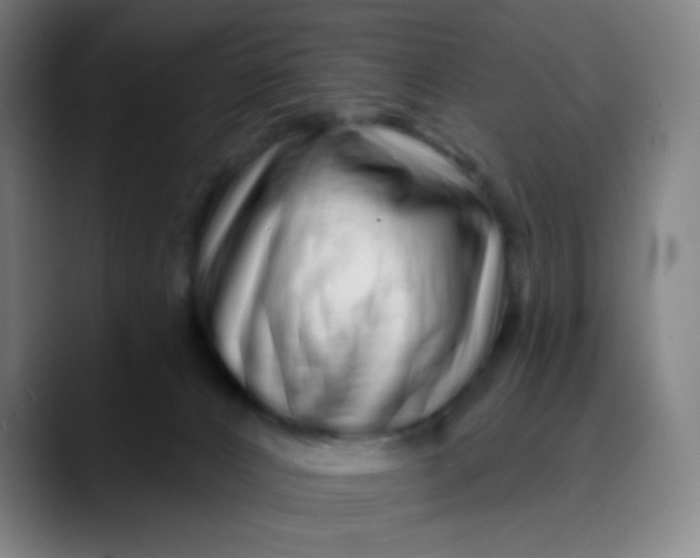 X0000089740032200707121515